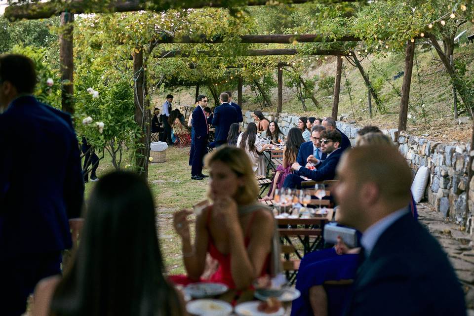 Aperitivo nell'orto