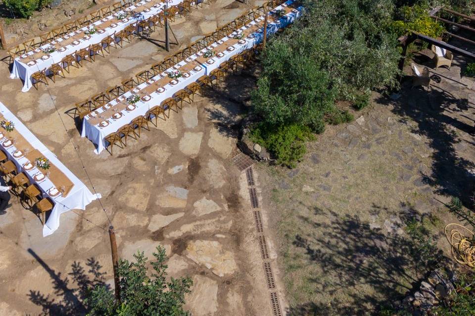 Viale delle rose dall'alto