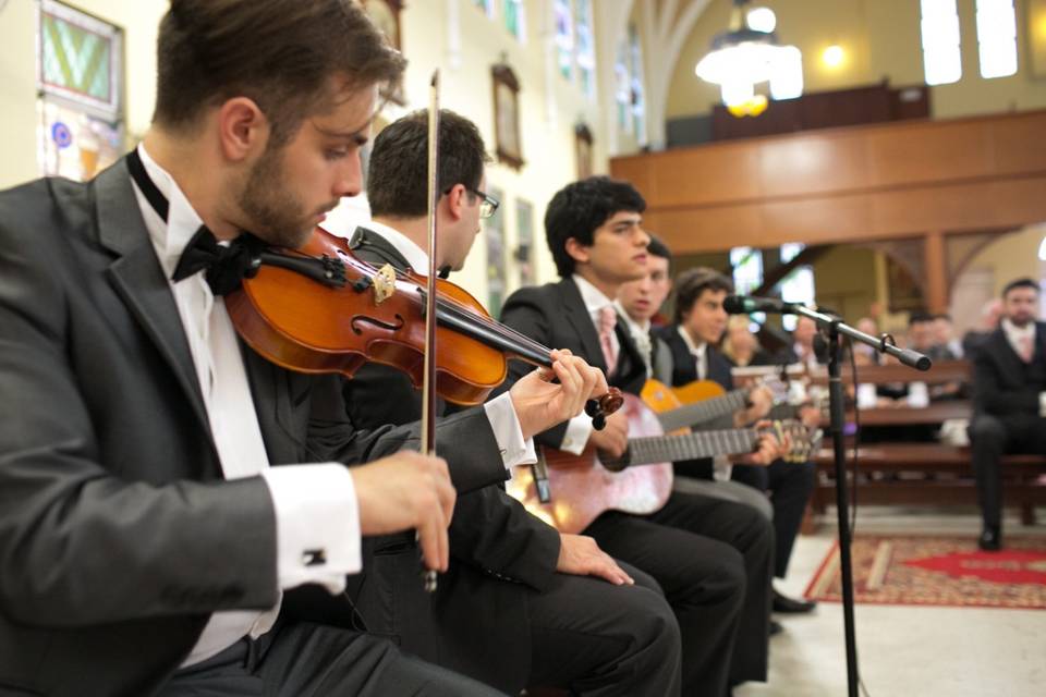 Violino per cerimonia