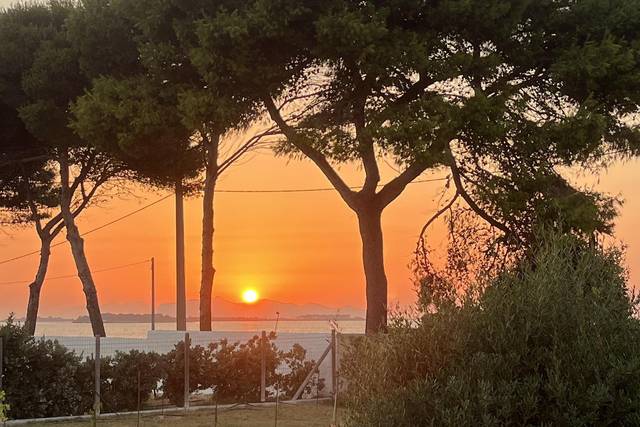 Sunset view