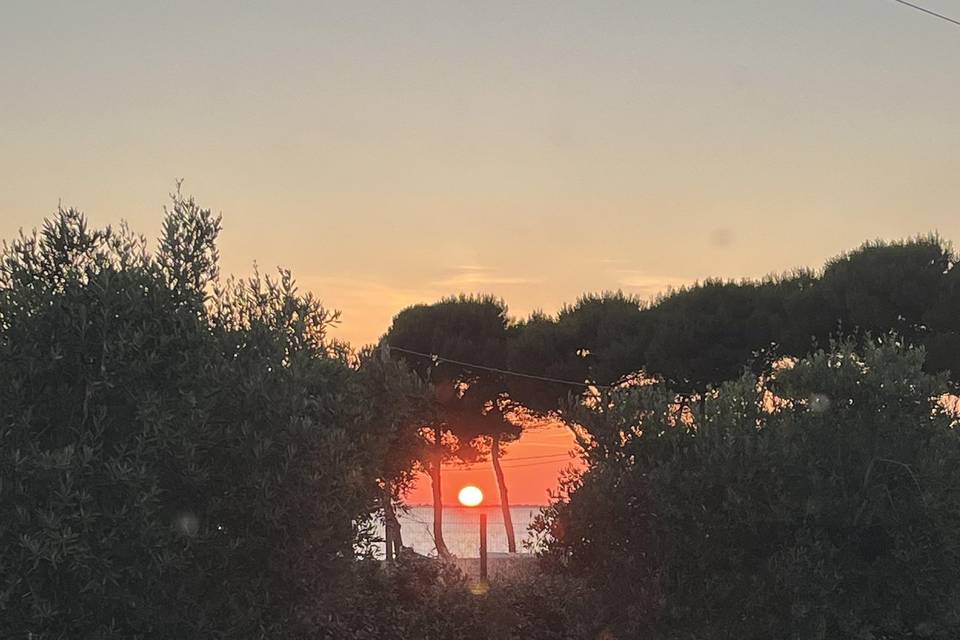 Sunset view