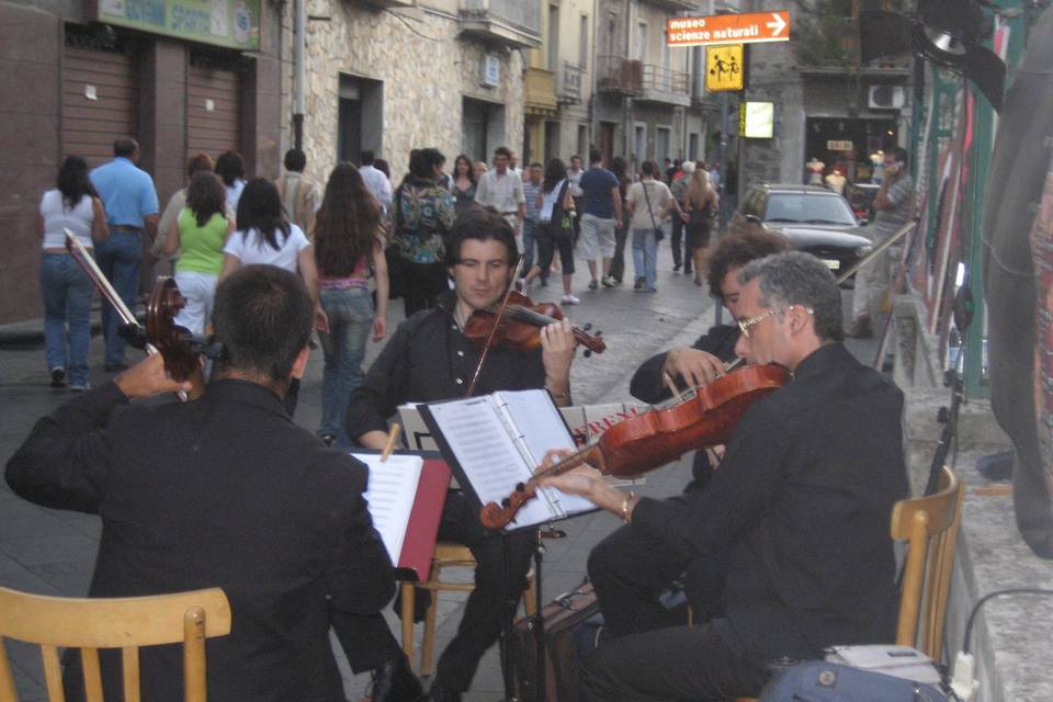 Danilo Mascali Il Violinista