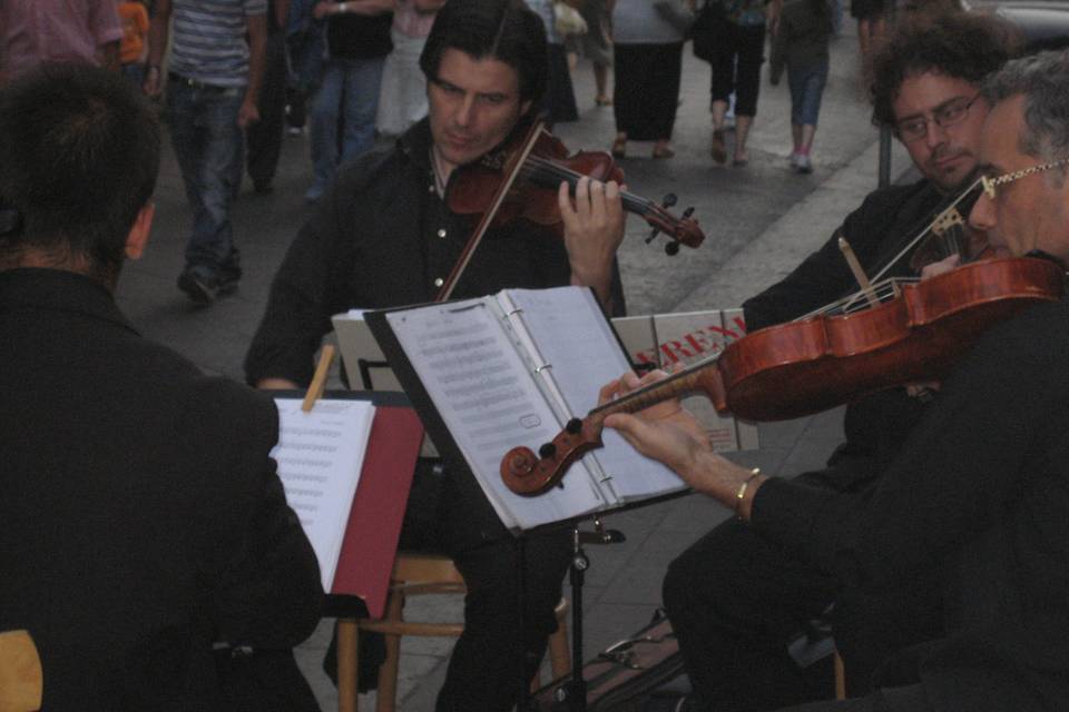 Danilo Mascali Il Violinista