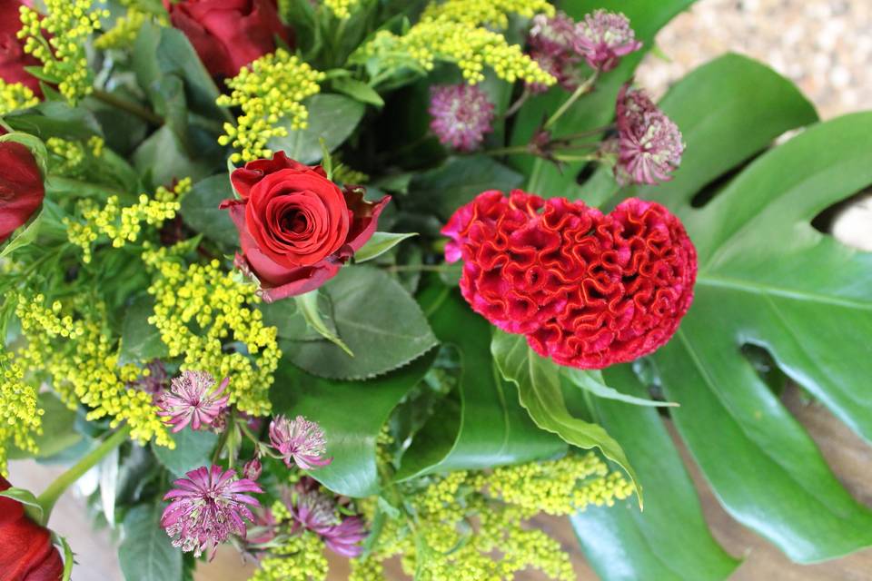 Rose rosse e celosia