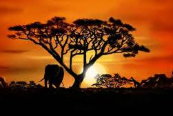 Sud Africa