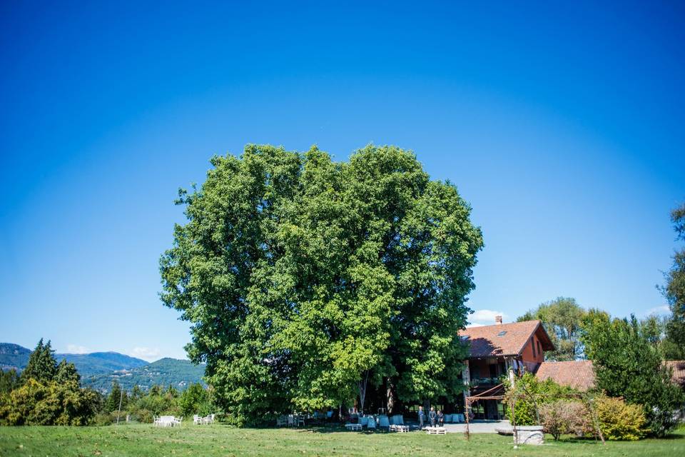 Pranzo d’estate