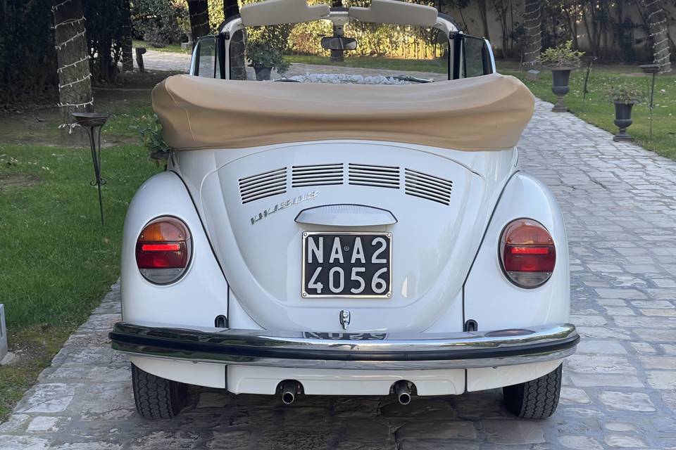 Vw Maggiolone