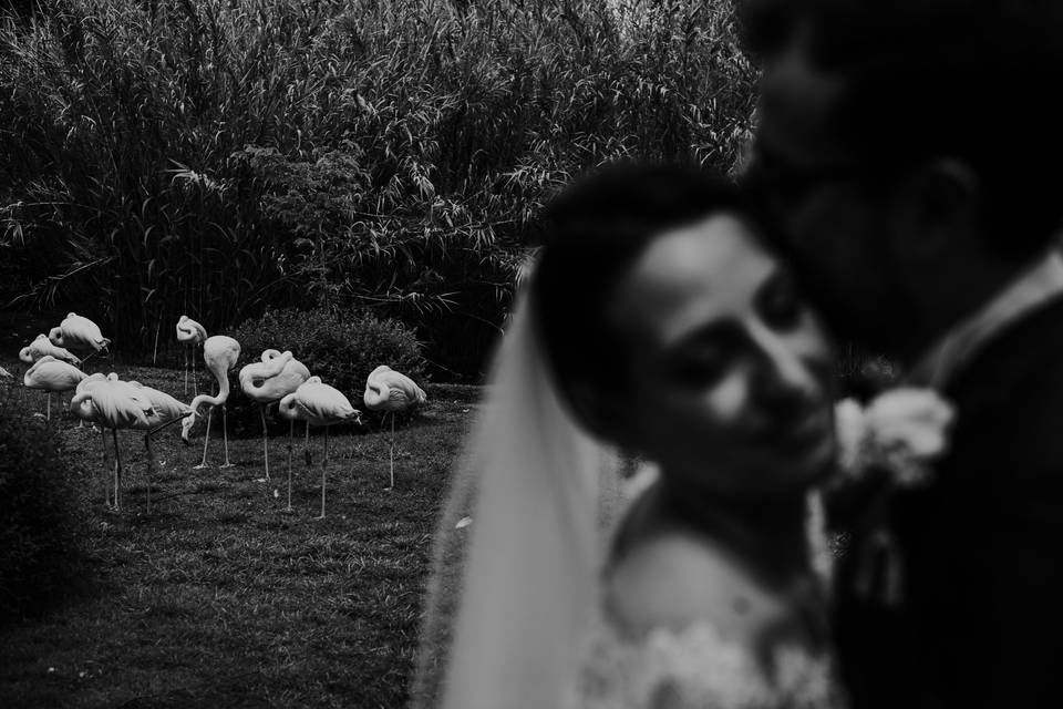 Wedding photographer sicilia