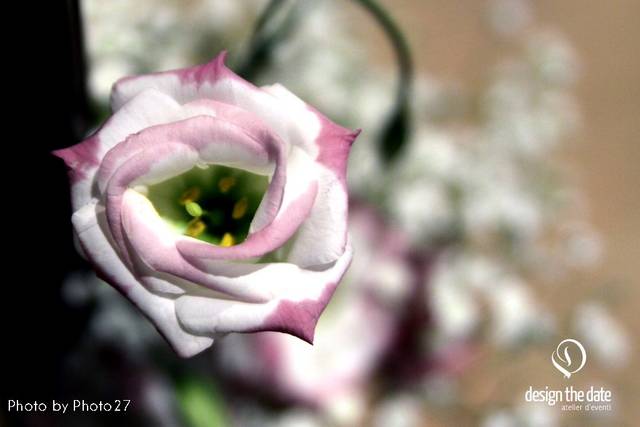 Allestimento floreale
