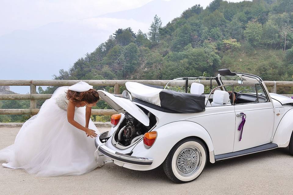 Vw Maggiolone Cabrio