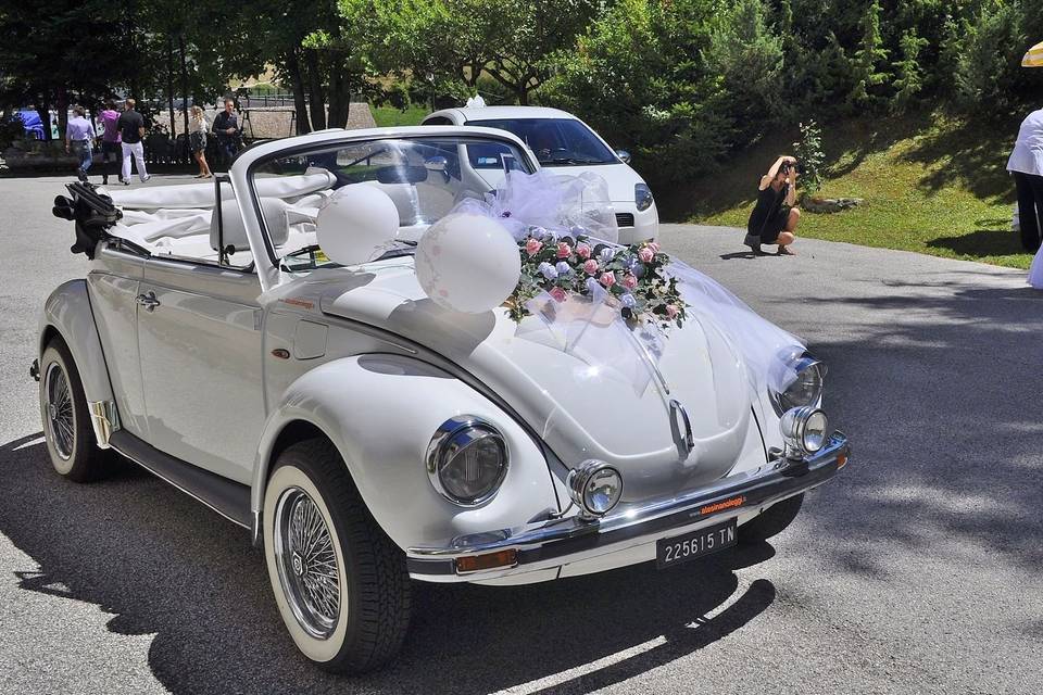 Vw Maggiolone Cabrio