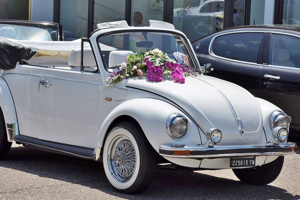 Vw Maggiolone Cabrio