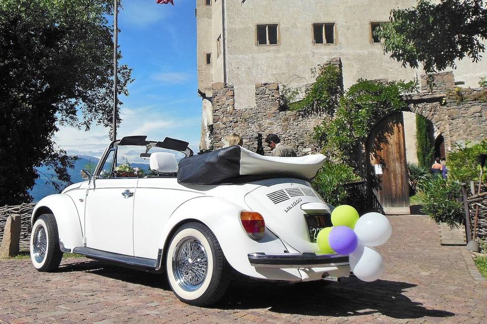 Vw Maggiolone Cabrio