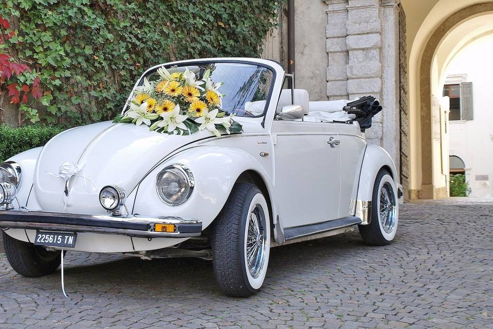 Vw Maggiolone Cabrio