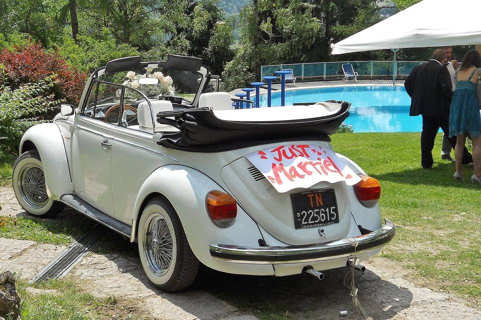 Vw Maggiolone Cabrio