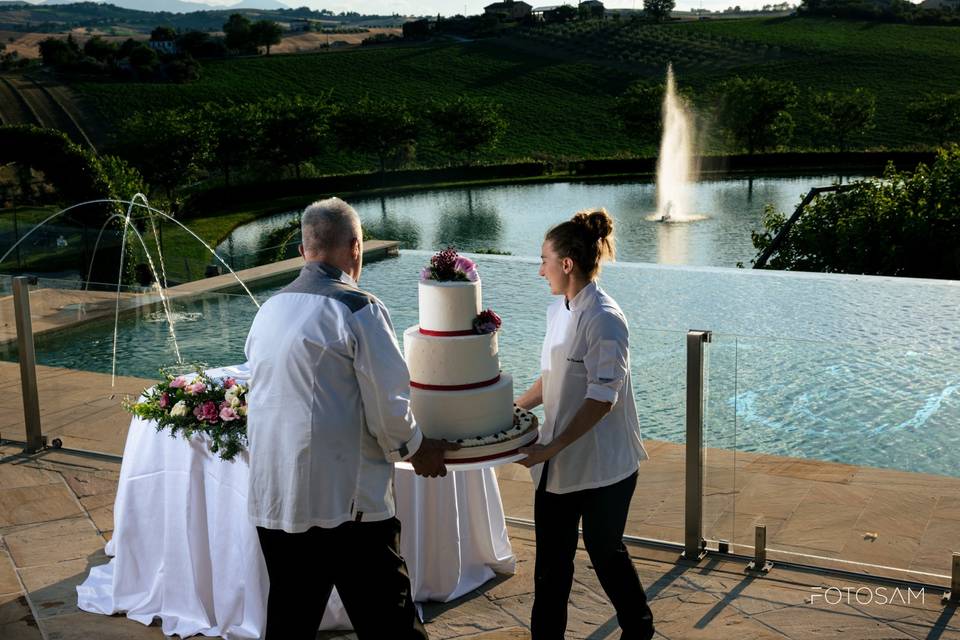 Arrivo torta