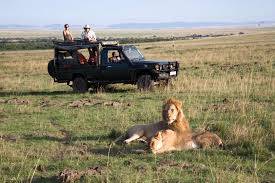 Safari in Kenya