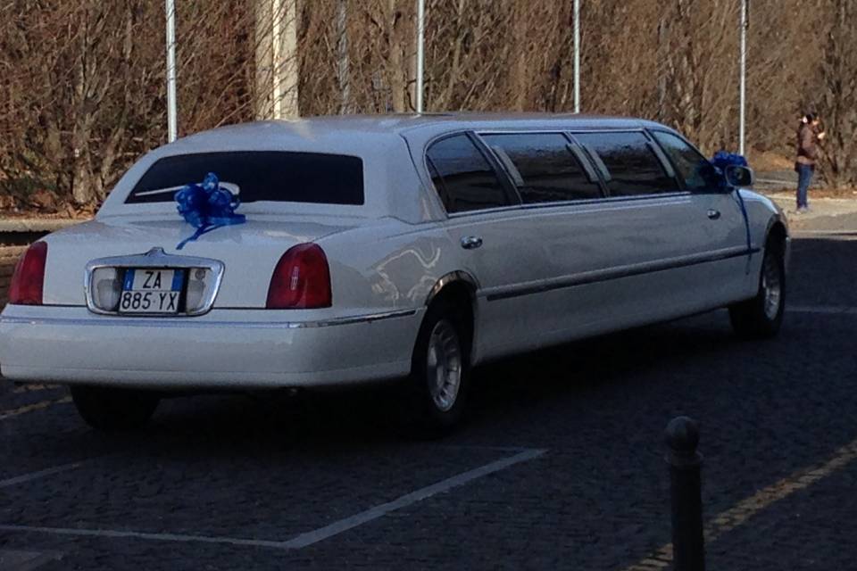 Limousine