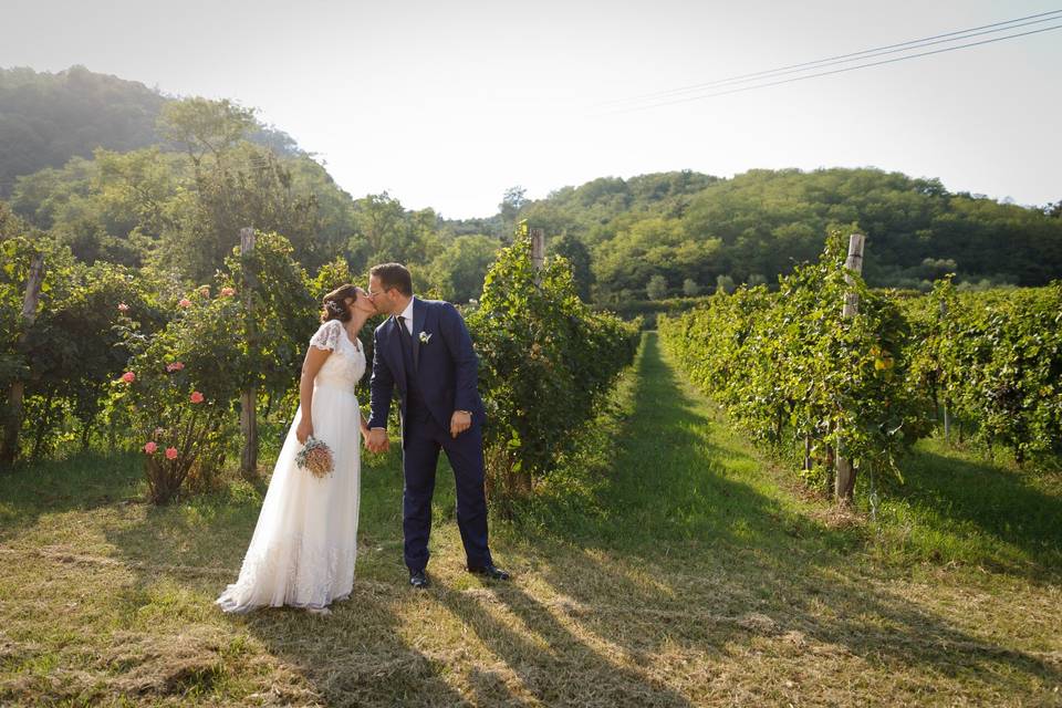 I Vigneti di Villa Pollini