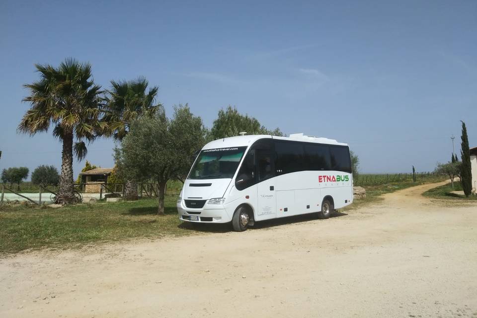 Minibus Matrimonio