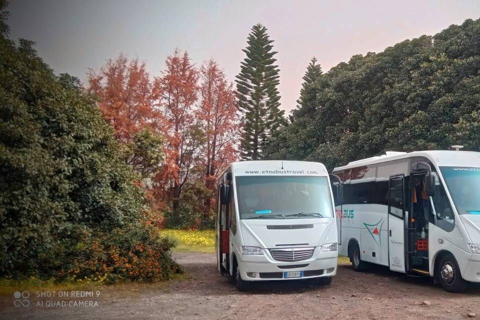 2 Minibus da 26 pax