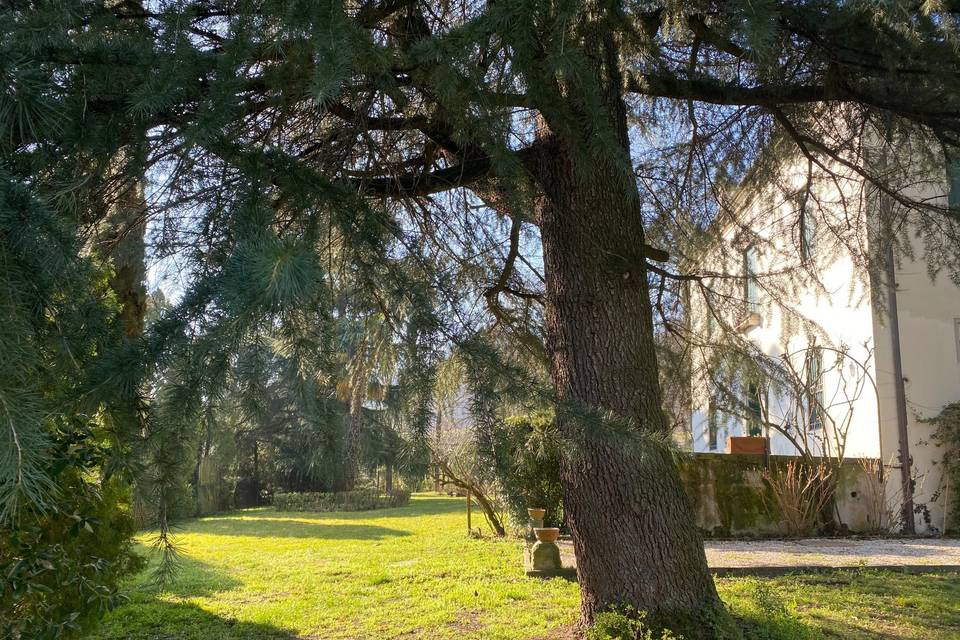 Terrazzo vista parco e vigneti