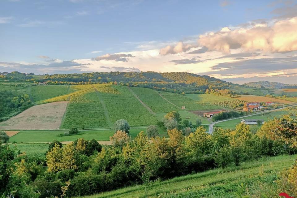 Panorama dalla Terrazza