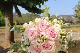 Bottega I fiori di Fabio