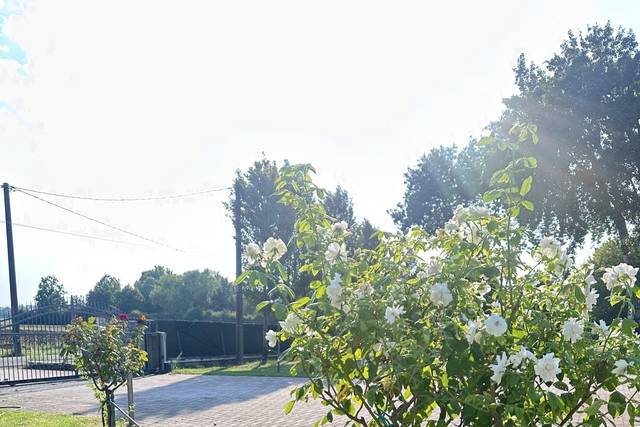 Garden Lake