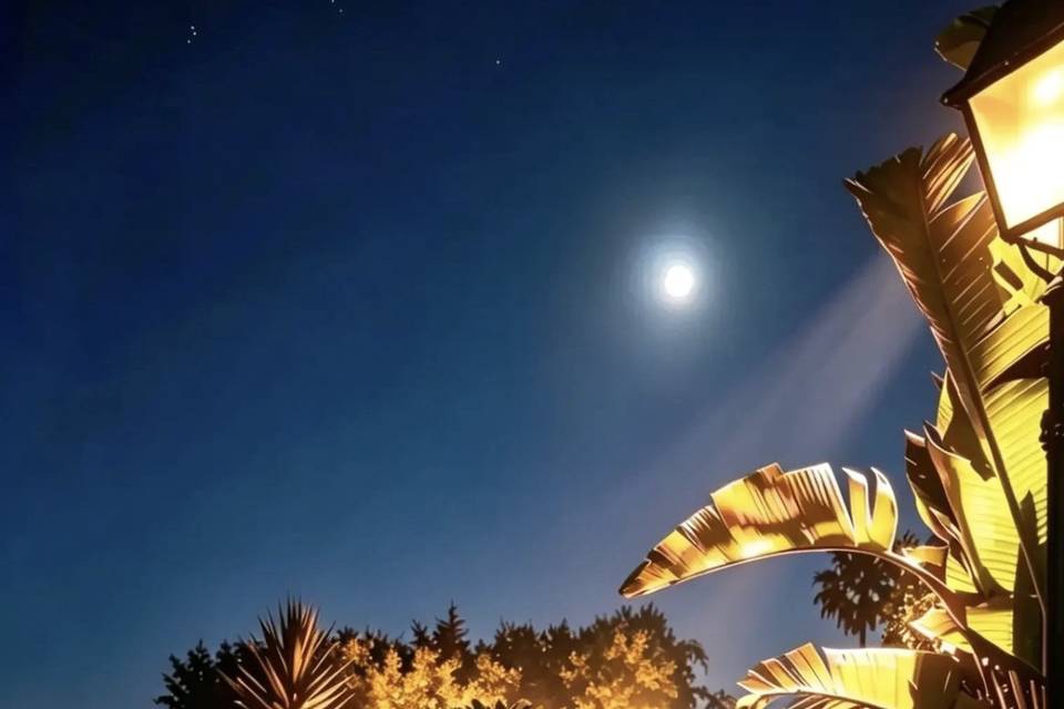 Villa Martius