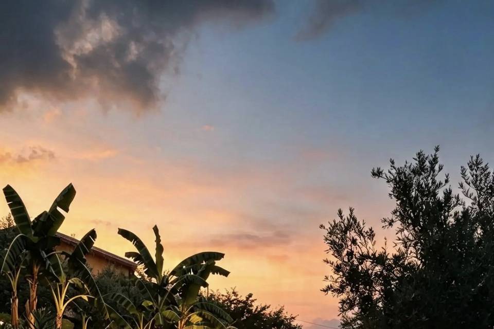 Villa Martius