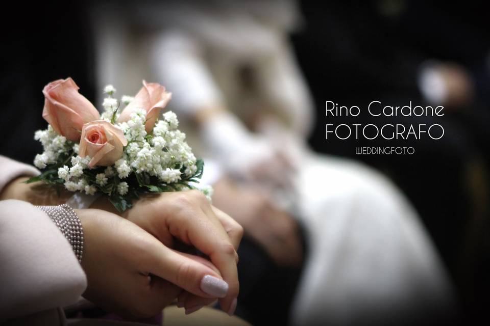 Rinocardonefotografo