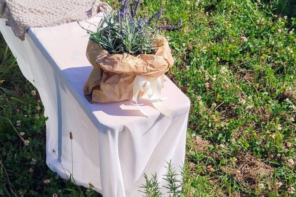 Lavanda e rosmarino