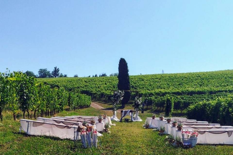 Tra le vigne