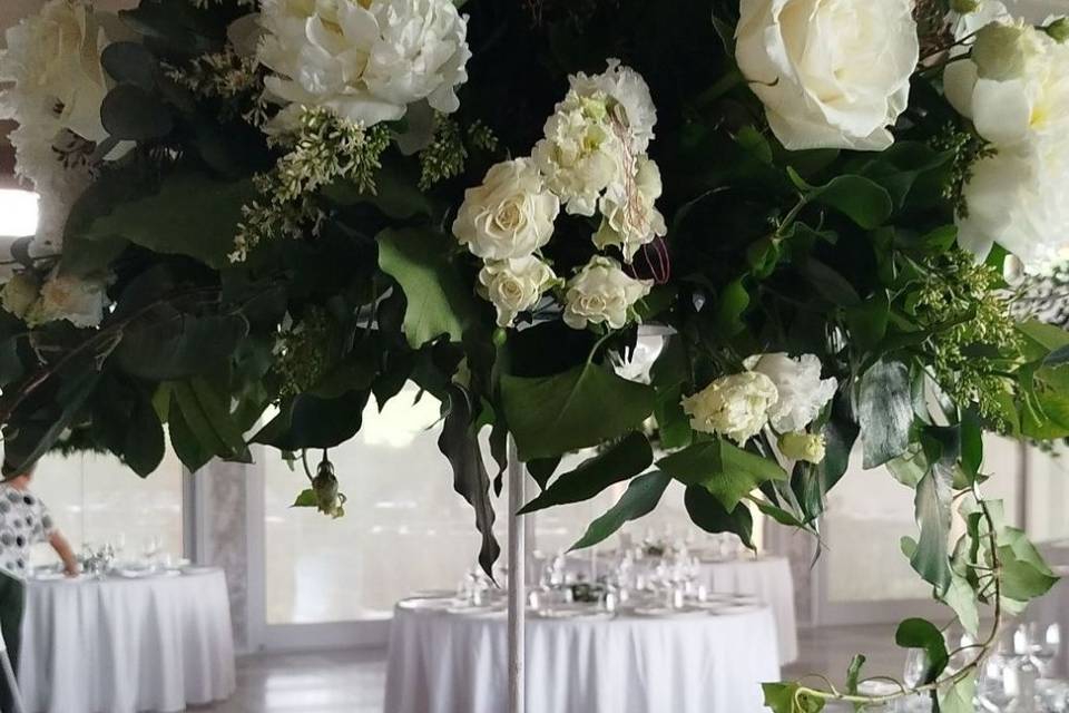 Elegante