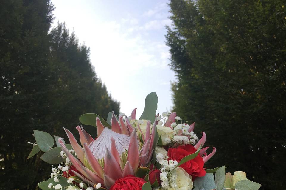 Protea bouquet