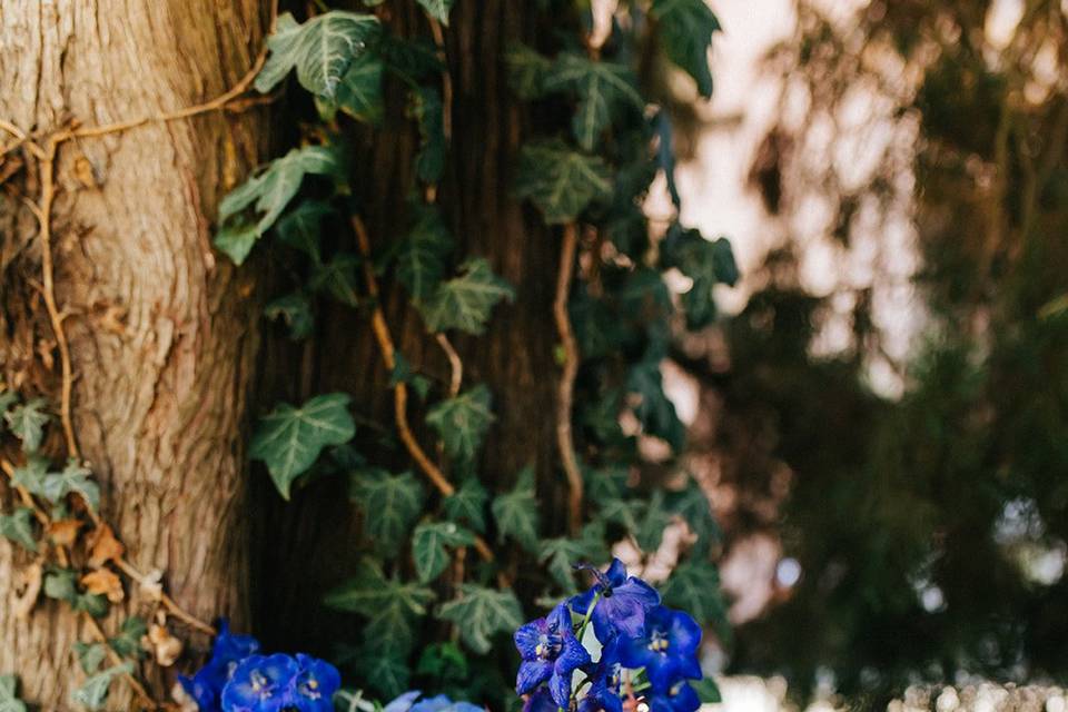 Il bouquet di Martina