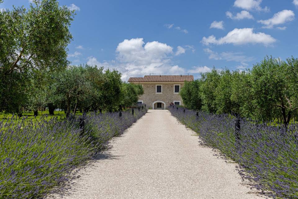 Tenuta Fogliani