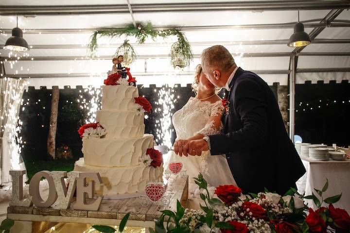 Musica e animazione Wedding