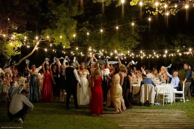 Musica e animazione Wedding