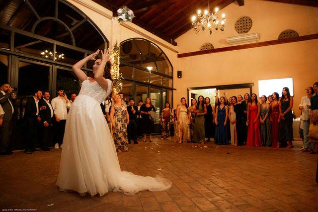 Musica e animazione Wedding