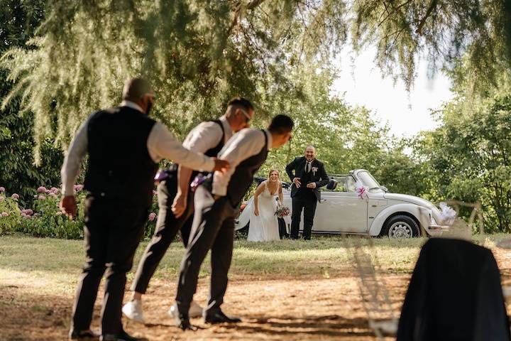 Animazione matrimoni