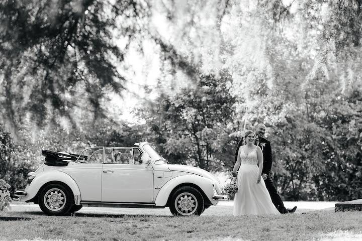 Animazione matrimoni