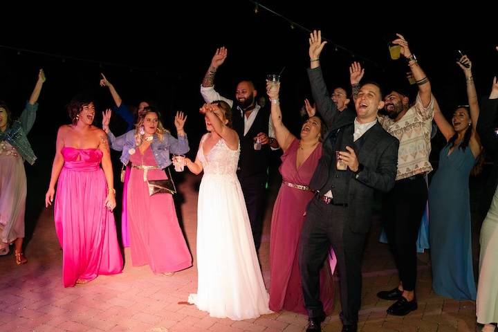 Musica e animazione Wedding