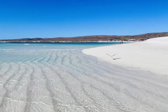 Australia