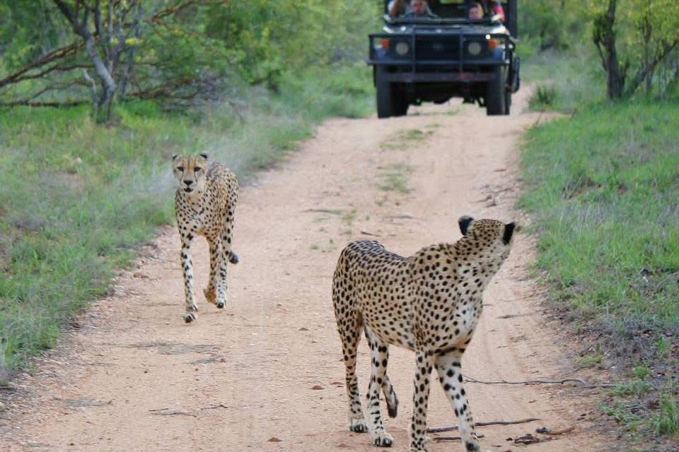 Sud Africa