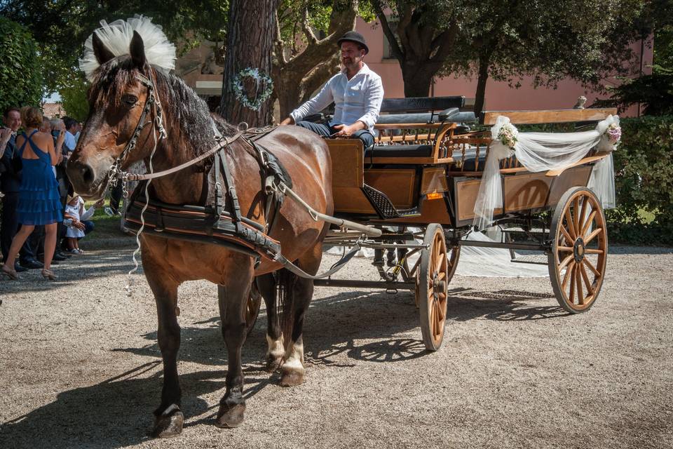 Matrimonio in carrozza