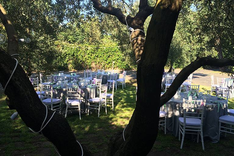 Matrimonio in giardino