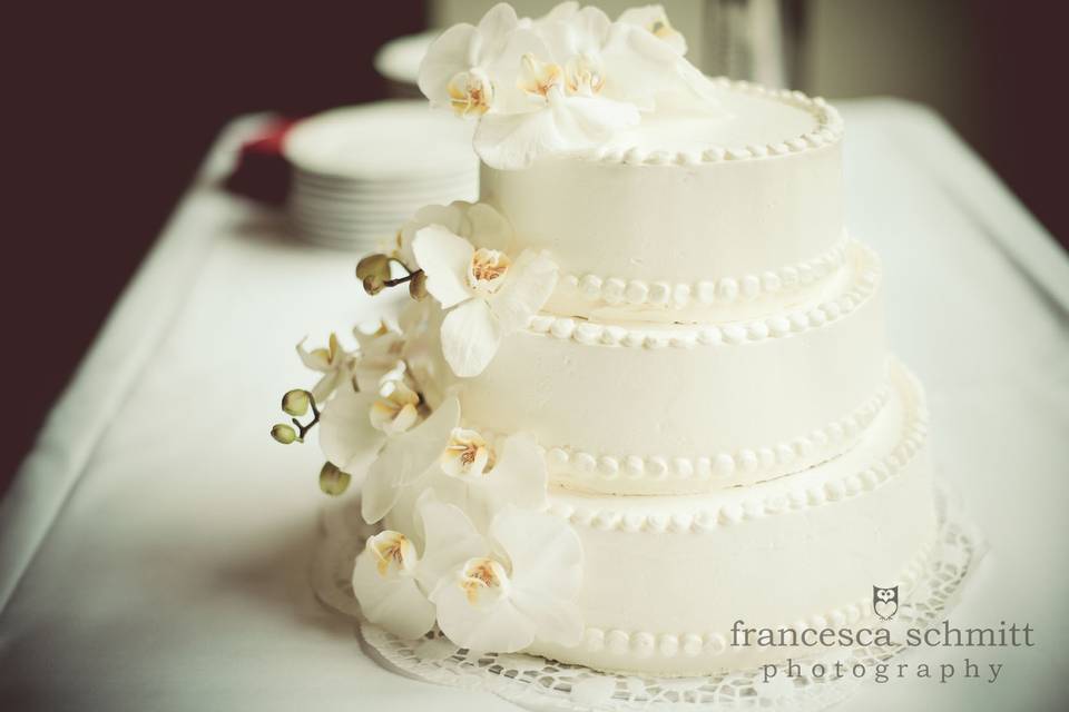 Francesca Schmitt Photography
