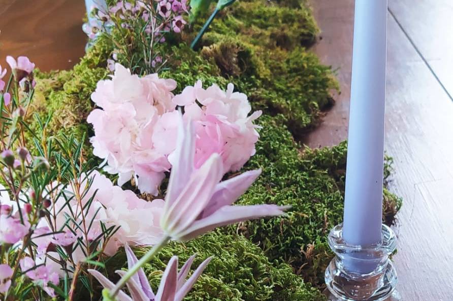 Tavola botanica
